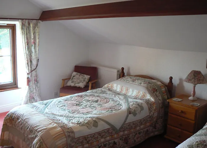 Forest How Guest House