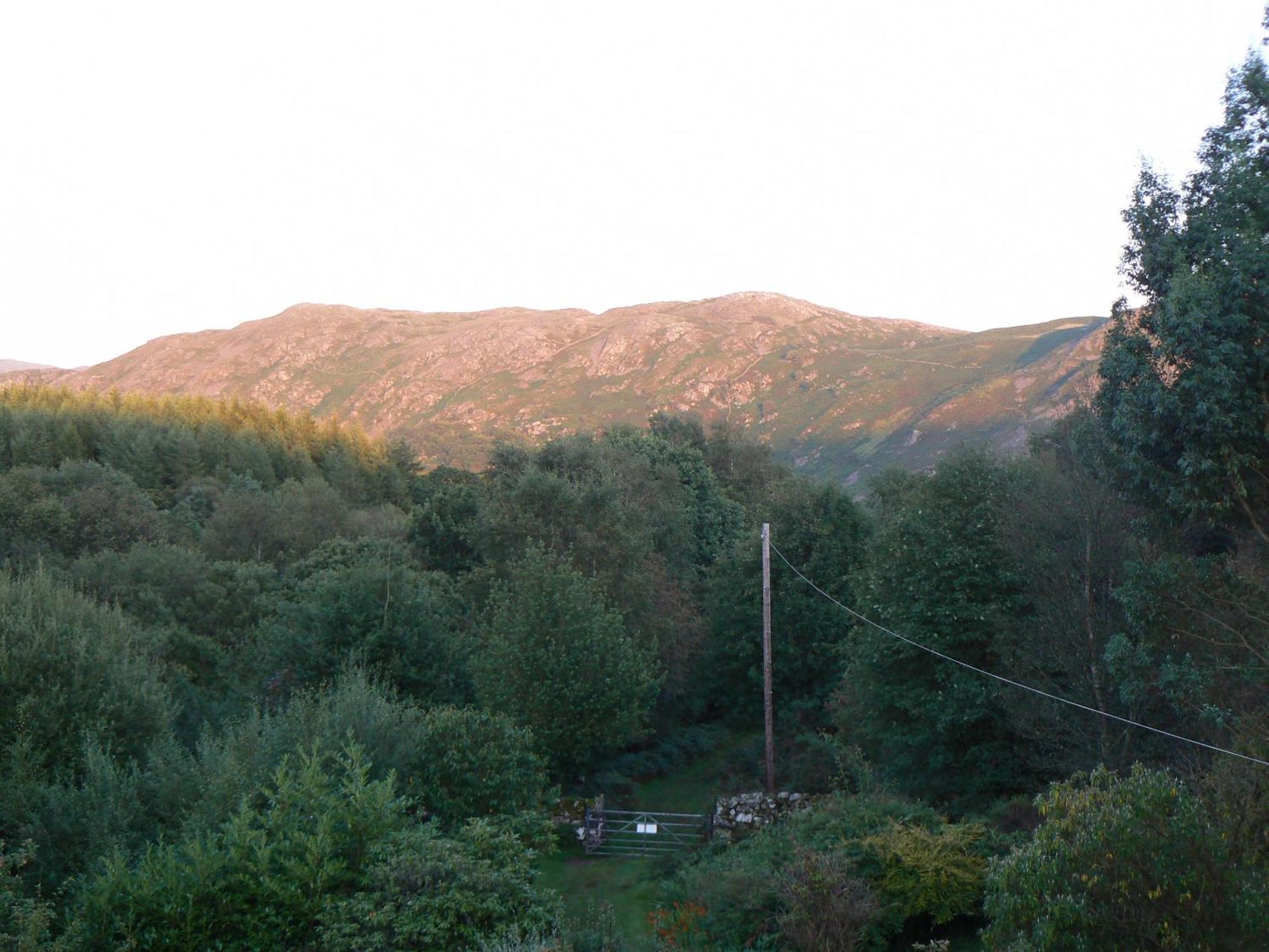 Forest Eskdale